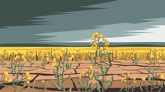 Illustration of yellow flowers growing on cracked, dry ground under a stormy sky.