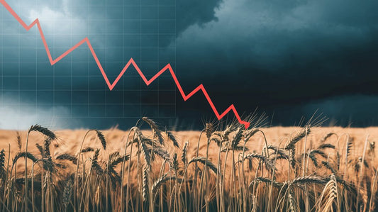 A red downward graph over a wheat field with dark storm clouds in the background.