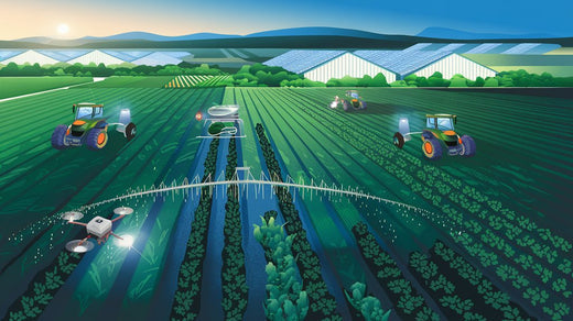 Illustration of a farm using modern technology: tractors, drone, irrigation system, and greenhouses among crops.