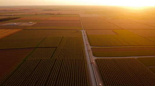 Aerial view of expansive agricultural fields at sunset, with roads and irrigation systems, suggesting the use of remote monitoring technology for managing agricultural flow meters.