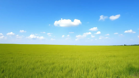 A vast green field under a bright blue sky with scattered white clouds.