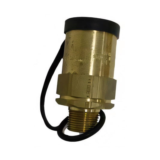 Brass RegO Relief Valve with black cable, threaded end, and cap for overpressure protection (3131G).