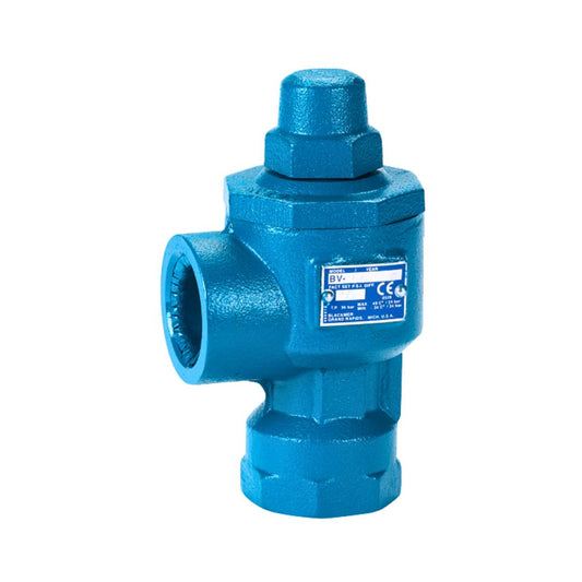 BV1.25 Blue industrial valve with a hexagonal top section and threaded side connection, labeled with a blue information plate indicating model details and specifications.