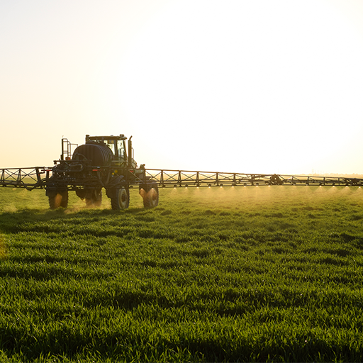 Large agricultural vehicle spraying crops in a green field during sunset.